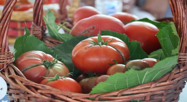 En lezzetli domatesi ve höşmerimi seçtiler