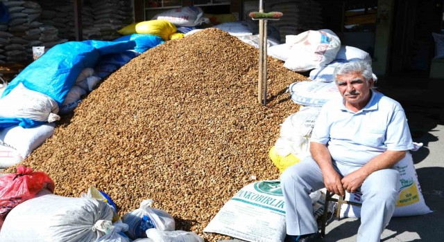 Erzincandan Malatyaya 30 ton acı kayısı çekirdeği gönderiliyor