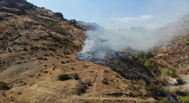 Gümüşhanede örtü yangını: 2 hektarlık alan küle döndü
