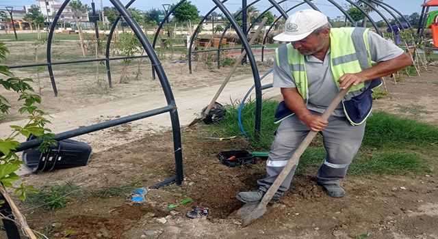 Hatay Büyükşehir Belediyesi, yeşil alanları korumak için çalışıyor