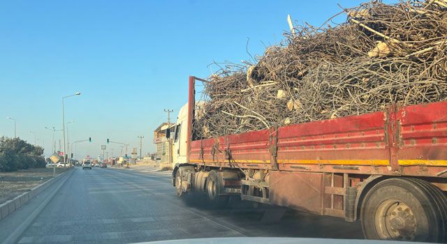 Hatay'da asbest tehlikesi sürüyor: "Halk sağlığı göz göre göre tehdit altında"