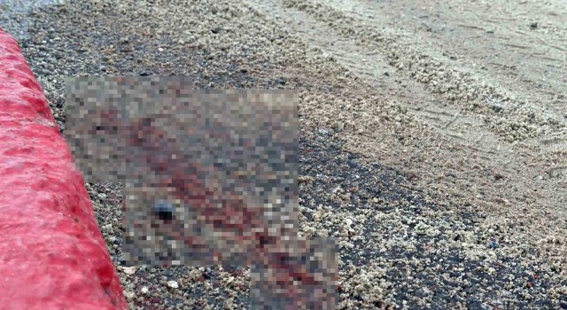 İETT otobüsü ile motosiklet çarpıştı: Hamile kadın aracın altında kalarak ağır yaralandı