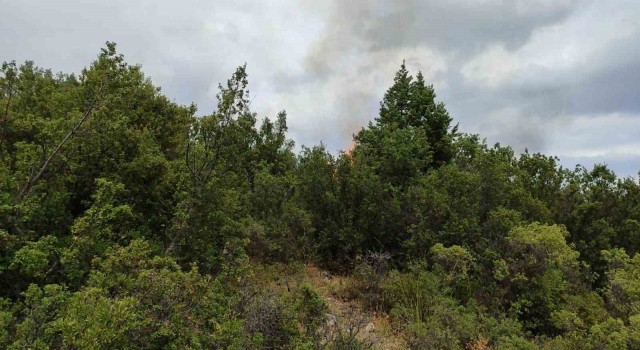 Ispartada bahçe temizliği orman yangınına neden oldu