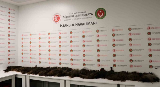 İstanbulda İnsan saçı kaçakçılarına gümrük muhafaza engeli