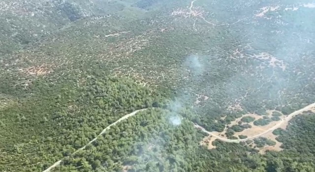 İzmir Selçuktaki orman yangını kontrol altına alındı