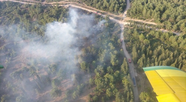 İzmirde orman yangınına havadan ve karadan müdahale sürüyor