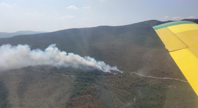 İzmirde orman yangınına havadan ve karadan müdahale sürüyor