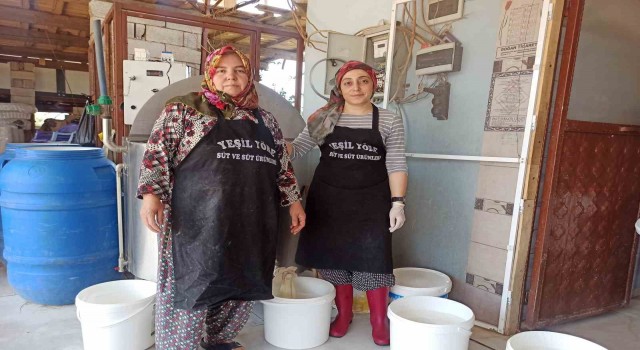 Kahramanmaraşta genç girişimci 3-4 kova yoğurtla başladı, şimdi kendi markasını oluşturdu