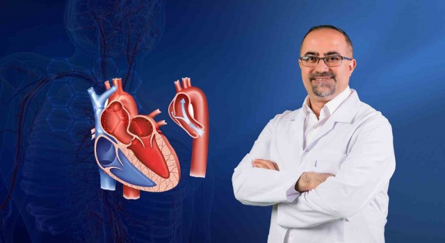 Kanda yüksek yağ oranı Aort yırtılmasına neden oluyor