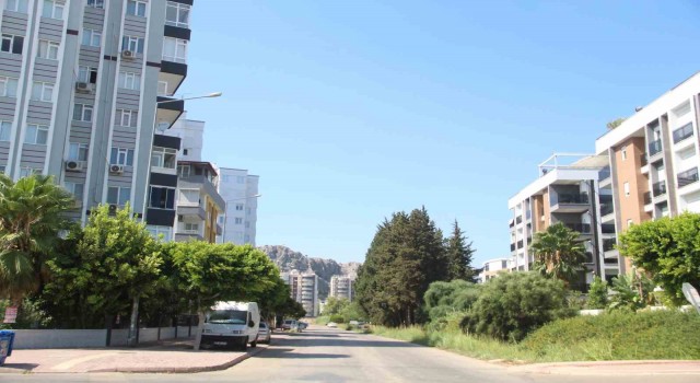 Kapılarına dayanan domuz sürüsü yüzünden siteye giremeyen mahalleli çözüm bekliyor