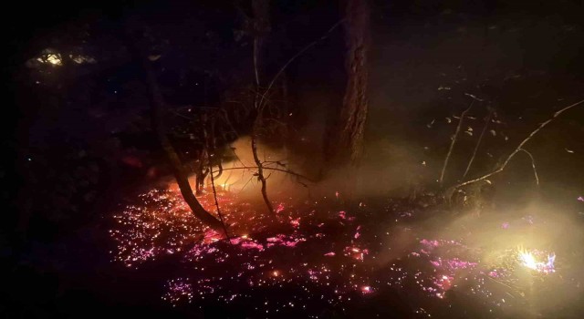 Karabükteki orman yangınına müdahale sürüyor