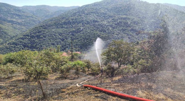 Kastamonuda anız yangını ormana sıçramadan söndürüldü