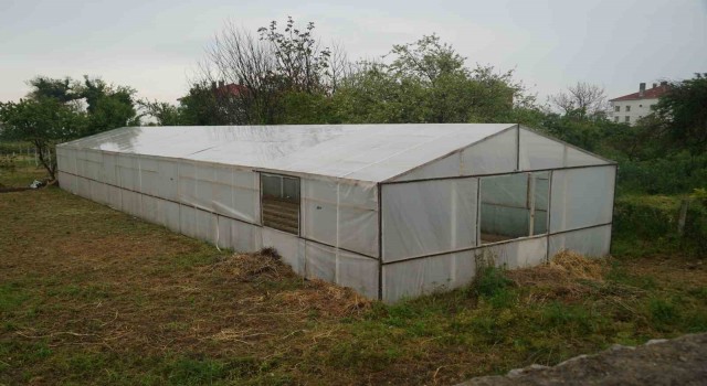 Kastamonuda kadınlar bu projelerle gelirlerini arttıracak