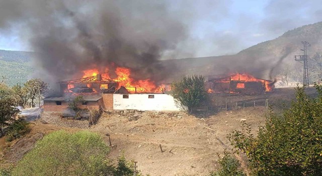 Kastamonuda köy yangını: 7 ev, 3 samanlık alevlere teslim oldu