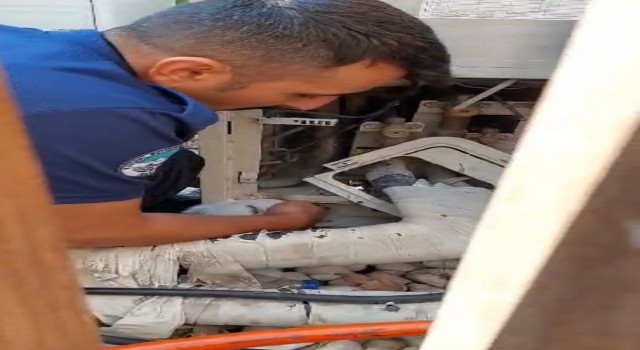 Klimada sıkışan kedi, itfaiye sayesinde annesine kavuştu
