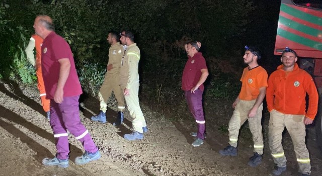 Kocaelide orman yangını
