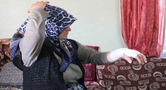 Komşum beni darp etti dedi, yaşadığı dehşeti anlattı