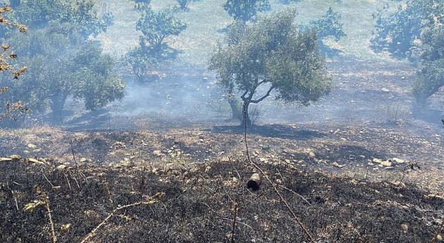 Köşkteki yangında 1 dönüm arazi zarar gördü