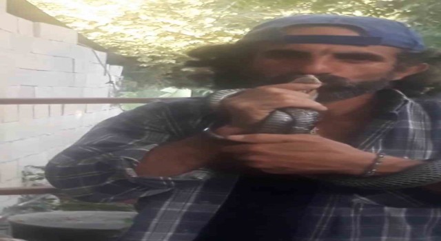 Kurtardığı yılanı öperek doğaya saldı