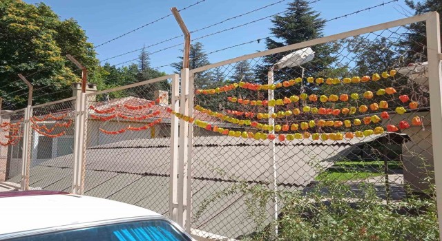 Kurutulmak için asılan biberlerin renkli görüntüsü