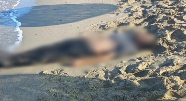 Kuşadasında deniz kıyısına vurmuş erkek cesedi bulundu