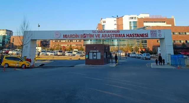 Mardinde kardeş kavgasında ağabey öldü