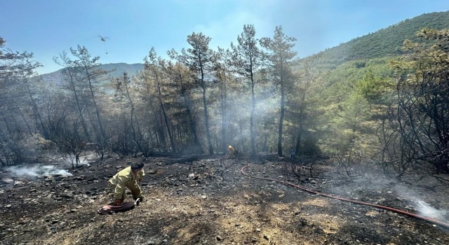 Marmariste çıkan orman yangını kısa sürede kontrol altına alındı
