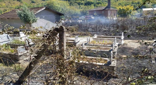 Mezarlıkta çıkan yangın söndürüldü