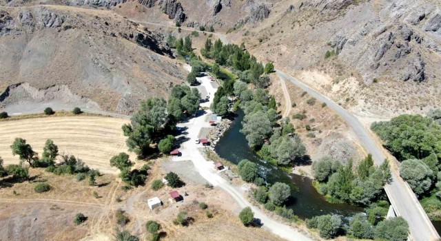 Muhtarın doğa sevgisi bozkırı vahaya dönüştürdü