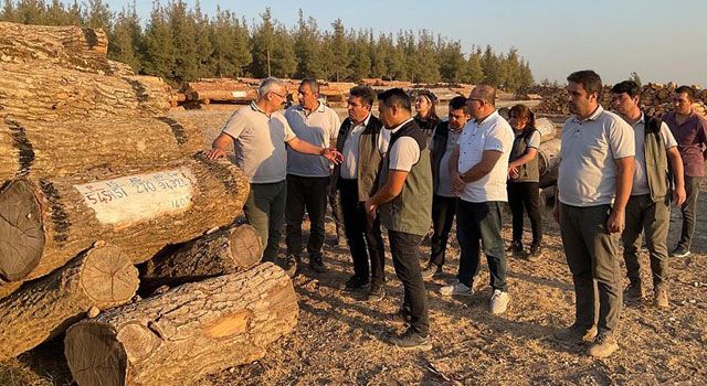 Orman Bölge Müdüründen Ormancılık Çalışmalarına Denetim