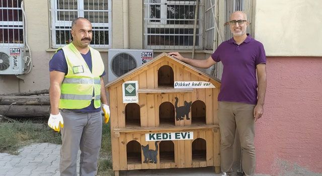 Osmaniye Belediyesi'nden sokak kedilerine özel yuvalar