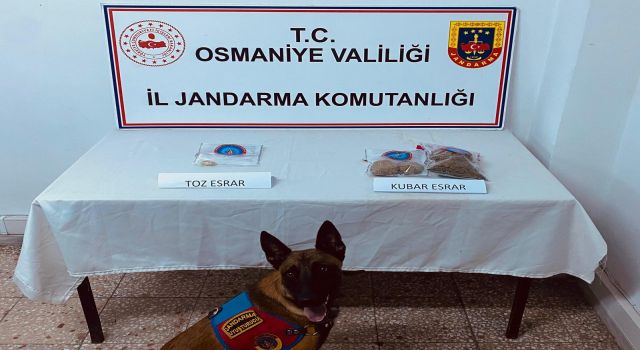 Osmaniye’de Jandarma ekipleri, uyuşturucuya geçit vermiyor