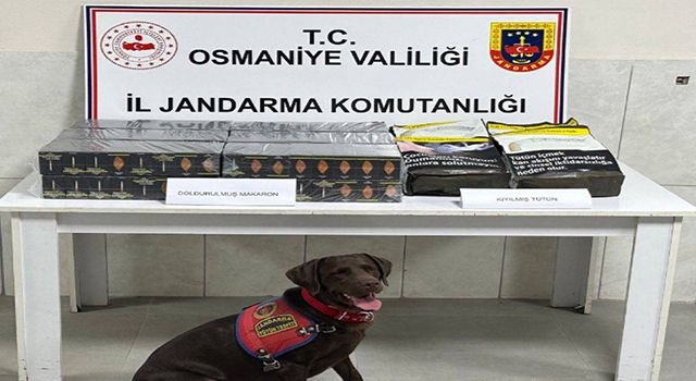 Osmaniye'de Uyuşturucu ve Kaçakçılıkla Mücadele Operasyonu