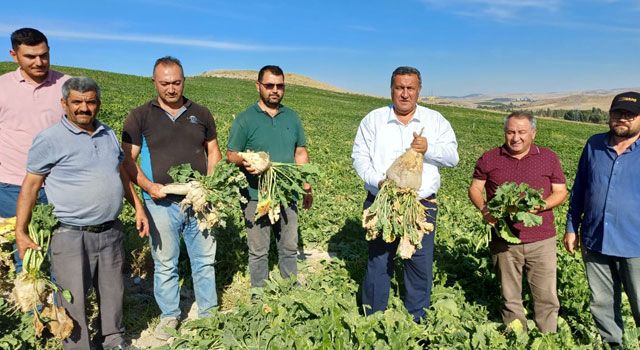 Pancar yetiştiricileri taban fiyatın açıklanmasını bekliyor