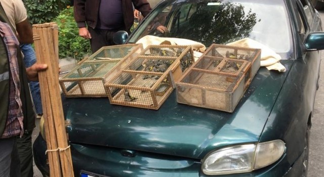 Saka kuşlarını avlayan 2 şahıs suç üstü yakalandı, 73 bin TL ceza kesildi