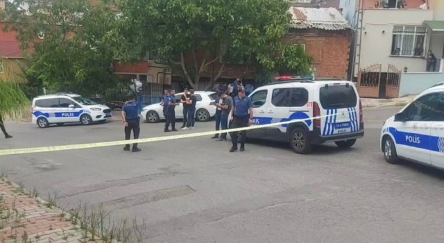 Sivasta karı kocanın kavak kesme kavgası İstanbulda dehşete dönüştü