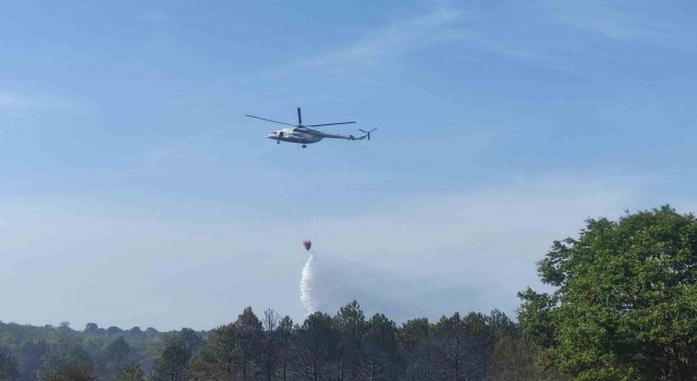 Tekirdağdaki yangında hava desteği: Helikopter ile müdahale ediliyor