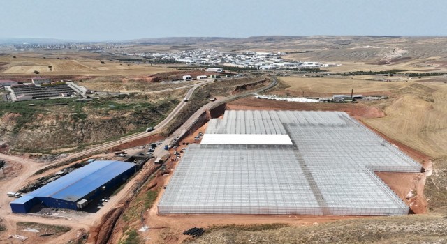 Türkiyede ilk, fideler toprakla buluştu