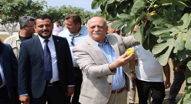 TZOB Genel Başkanı Bayraktar: “TMOnun piyasaya girmesi sağlanmalıdır”