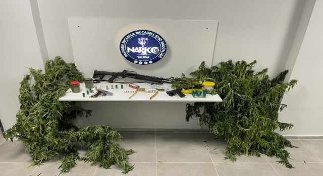 Yalovada uyuşturucu operasyonu: 1 tutuklama