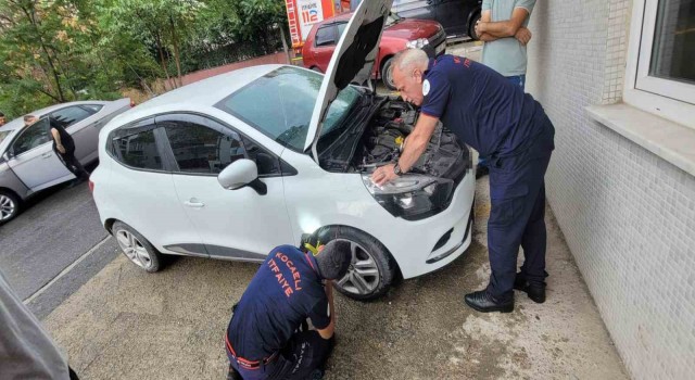 Yaramaz yavru kedi itfaiye ekiplerini uğraştırdı