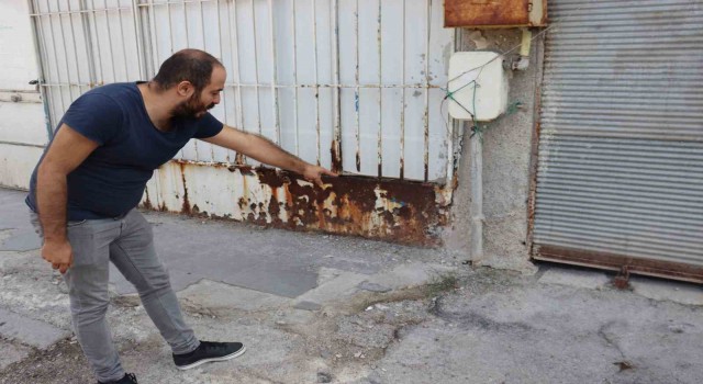 Yaşadıkları apartmanda fareler gören vatandaşlar yetkililere seslendi