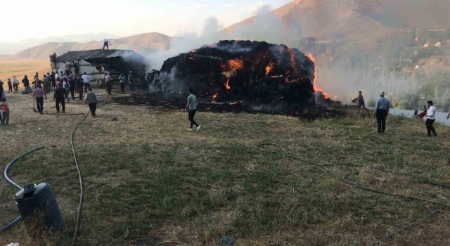 Yüksekovada çıkan yangında 6 bin bağ ot yandı