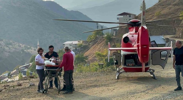 Ambulans helikopter, Çüngüşte ağaçtan düşen 82 yaşındaki Mevlüt amca için havalandı