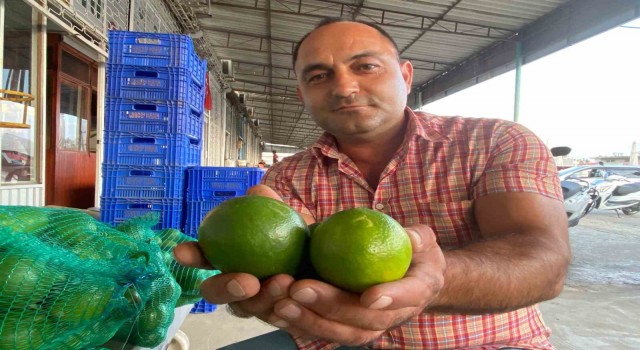 Antalyada halde limon 3 TLye kadar düştü