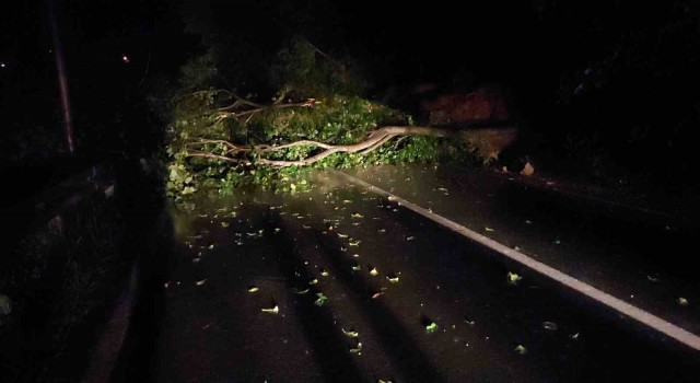 Ardeşen-Çamlıhemşin Karayolu heyelandan dolayı trafiğe kapandı