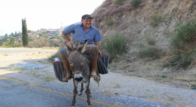 Aydın dağlarında eşekler halen revaçta