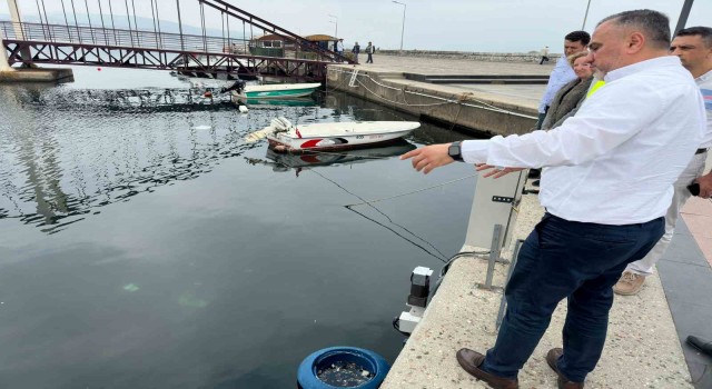 Bandırmada Deniz Temizleyen Çöp kapanlar devreye girdi