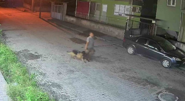 Köpek çalan şahsı polis kıskıvrak yakaladı