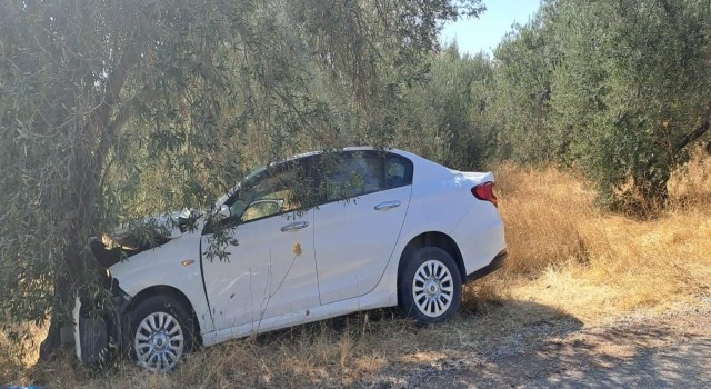 Çanakkalede otomobil zeytin ağacına çarptı: 1 ölü, 1 yaralı